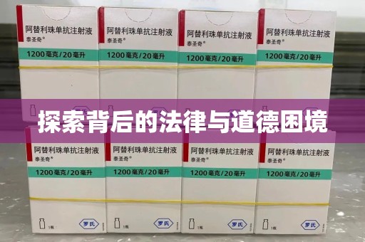 芜湖探索背后的法律与道德困境