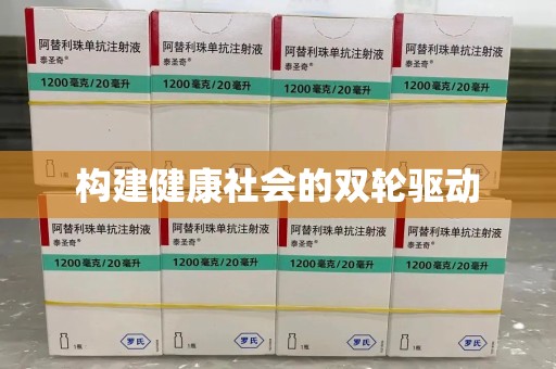 芜湖构建健康社会的双轮驱动