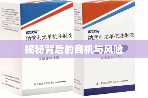芜湖揭秘背后的商机与风险