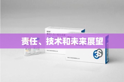 芜湖责任、技术和未来展望