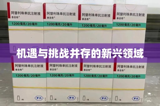 芜湖机遇与挑战并存的新兴领域