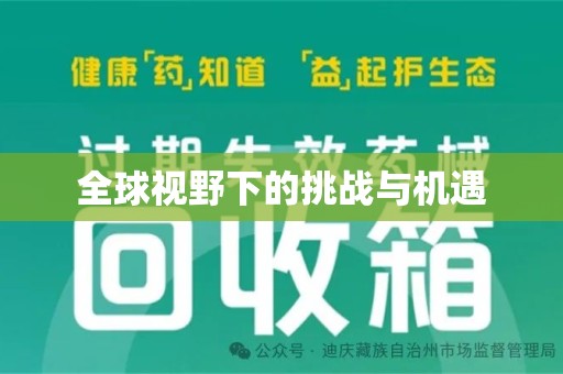 芜湖全球视野下的挑战与机遇