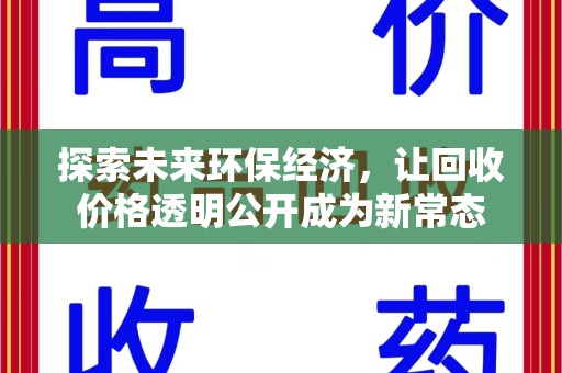 芜湖探索未来环保经济，让回收价格透明公开成为新常态