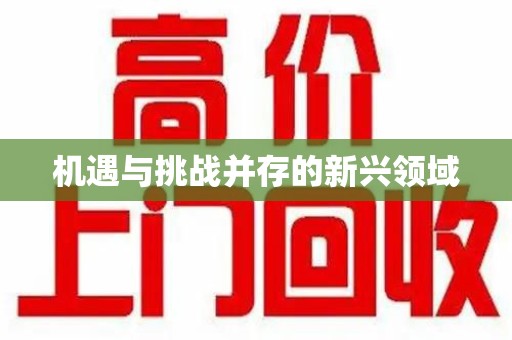 芜湖机遇与挑战并存的新兴领域