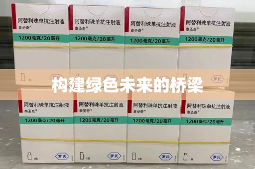 芜湖构建绿色未来的桥梁