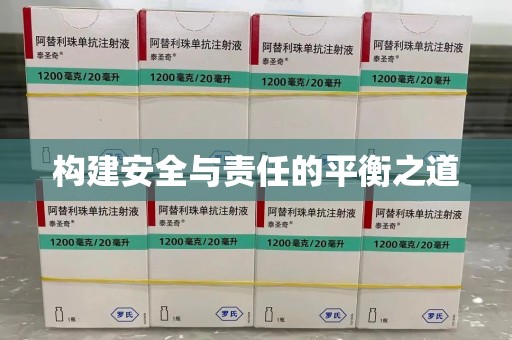 芜湖构建安全与责任的平衡之道