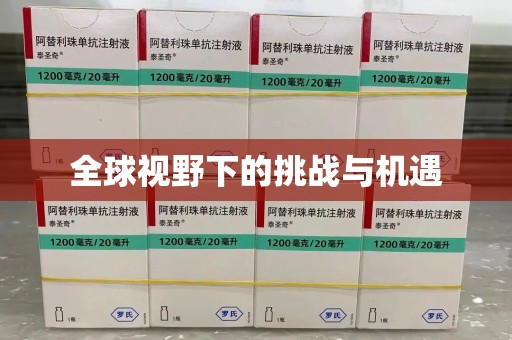 芜湖全球视野下的挑战与机遇