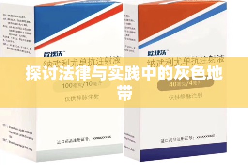 芜湖探讨法律与实践中的灰色地带