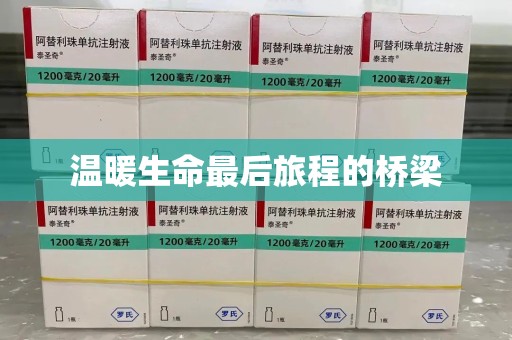芜湖温暖生命最后旅程的桥梁