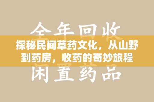 芜湖探秘民间草药文化，从山野到药房，收药的奇妙旅程